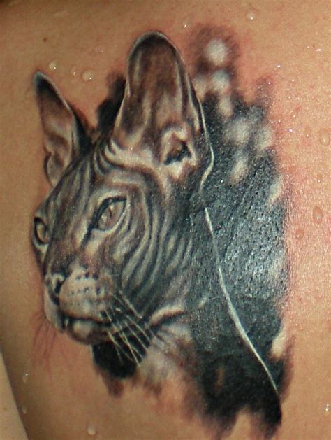 Realistic 3d Portrait Of A Sphinx Cat Tattoo Tattooimagesbiz