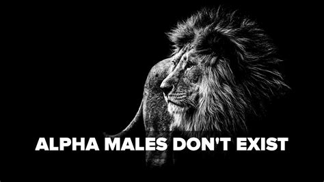 Alpha Males Do Not Exist Tiger Fitness Youtube