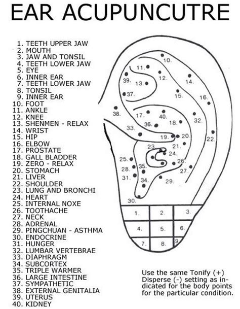 Chinese Ear Seed Placement Map