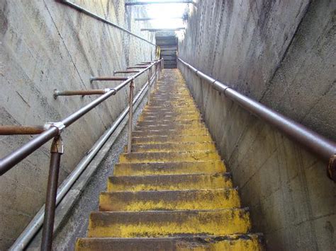 Two flights of stairs meaning. Well, i had a good run guys - MMA Forum