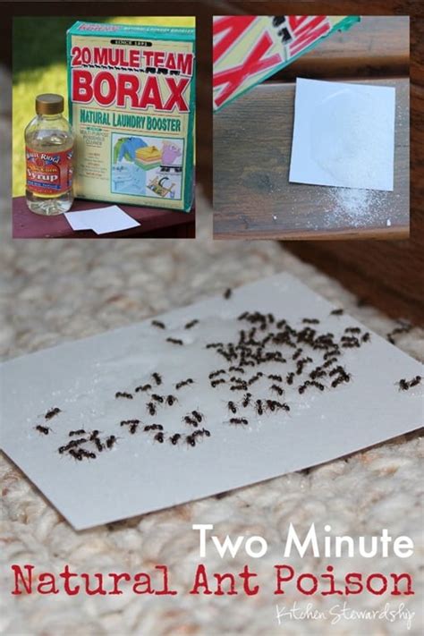 In turn, these ants follow the trail to the bait which explains why you initially see more ants. How to Make Homemade Non-Toxic Ant Poison