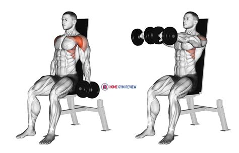 Dumbbell Seated Front Raise Home Gym Review