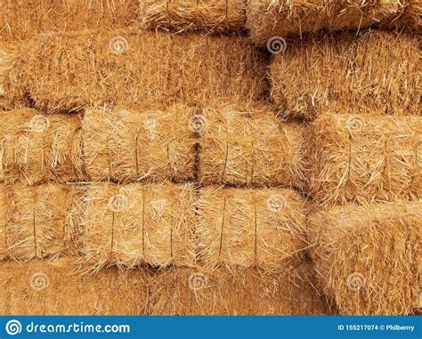 Stacks Of Dry Straw Piled Straw Haystacks Stock Photo Image Of Grass