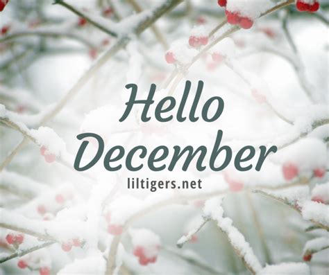170 Best Hello December Quotes Sayings And Wishes 2023