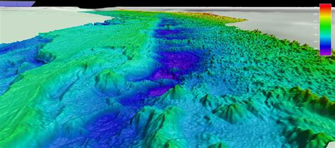 Expedition Hopes To Chart Million Mounds Of Deep Sea Coral Off