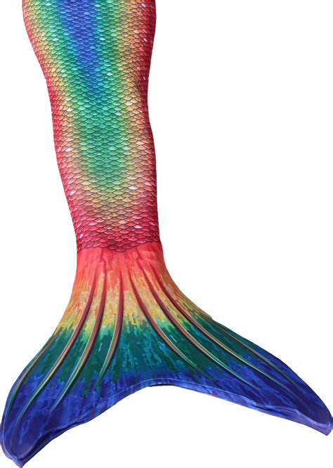 Download A Rainbow Colored Mermaid Tail 100 Free Fastpng