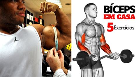 5 Exercícios Para Bíceps Em Casa Treino De Bíceps Para Fazer Em Casa