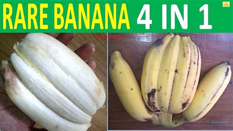 Rare Banana 4 In 1 Youtube