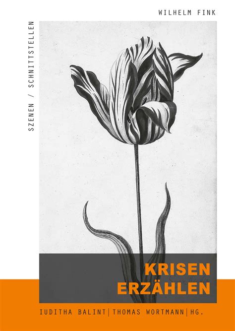 Iuditha balint, markus engelns & rolf parr (hgg.): Krisen erzählen | Wilhelm Fink Verlag