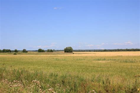 Field On Countryside Stock Image Image Of Scene Nature 83740525