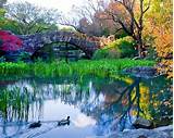 Beautiful Park In New York Images