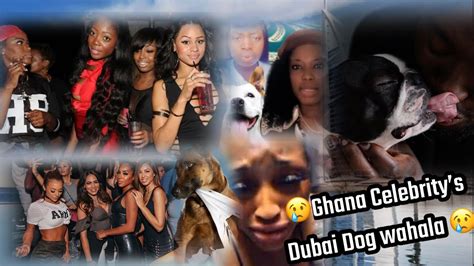 😢😢😢 Ghana Celebrity Dog Wahala In Dubai They Had Sɛx With Dog