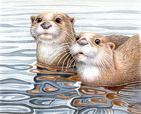 Otter Charm By Janet Matthews Animal Paintings Animal Drawings