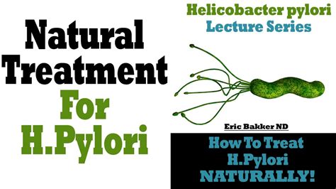 Pylori infection occurs when h. How To Treat And Eradicate Helicobacter Pylori Naturally ...