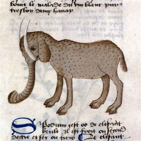How Medieval Artists Saw Elephants Claws Hooves Trunks Like Trumpets