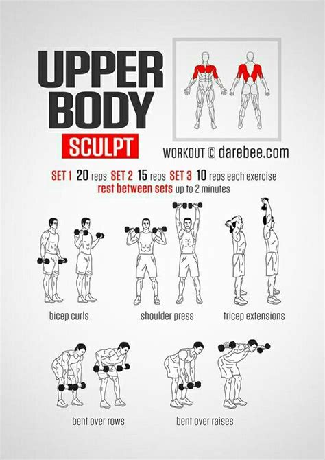 Upper Body Workout Arm Workout Men Weights Workout Upper Body Workout
