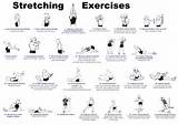 Pictures of Flexibility Exercises Training