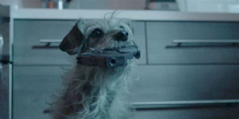 John wick only challenge (dog jokes). LOL: The Dog Wick Trailer Imagines If John Wick's Dog Was ...