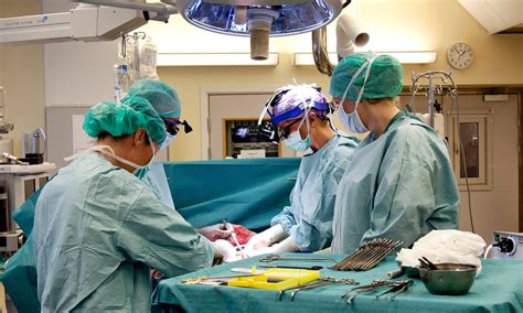 Woman Gives Birth After Womb Transplant In Medical First Science The Guardian