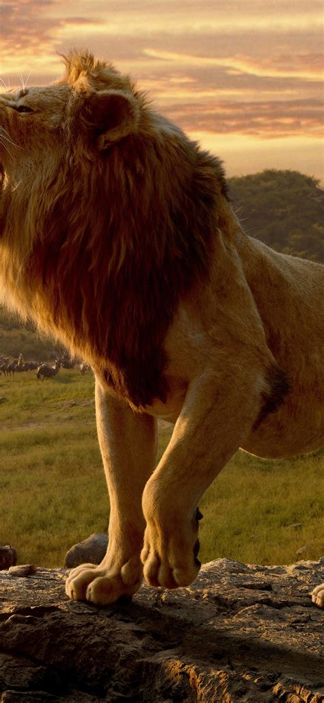 1080x2340 Lion From The Lion King 1080x2340 Resolution Wallpaper Hd