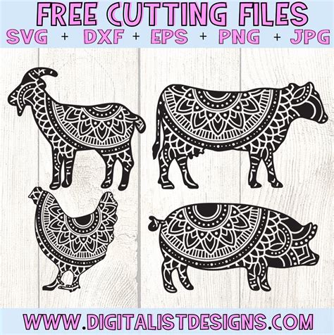 Download Giraffe Mandala Svg Free Drone Fest SVG, PNG, EPS, DXF File