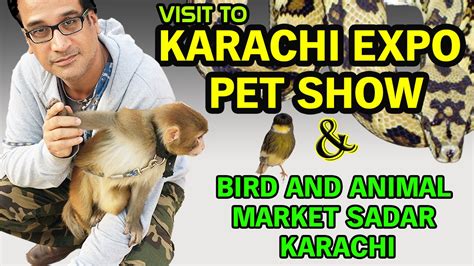 Pet food and accessories shopping from online pet food store in kuwait. Pet Show 2017 Karachi Expo | Night visit to Bird and ...
