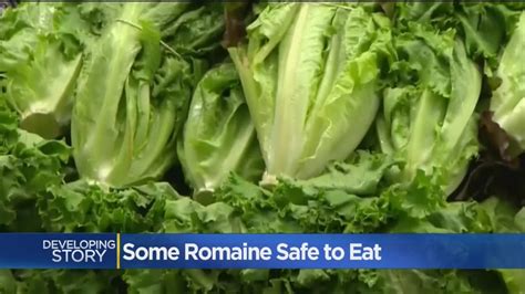 Fda Romaine Lettuce In E Coli Outbreak Linked To California Youtube