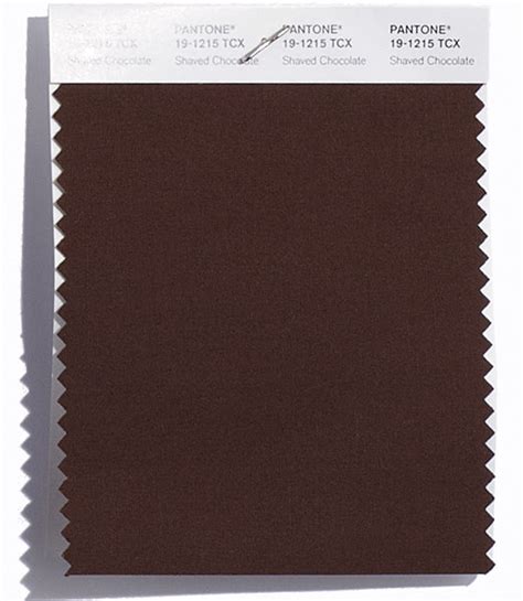 Pantone Smart Color Swatch Card 19 1215 Tcx Shaved Chocolate Columbia