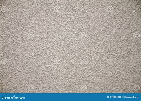 Ivory Concrete Wall Texture Stock Image Image Of Wall Texture 219080203