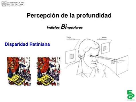 5 Clase Sobre Sensación Y Percepción