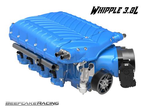 Whipple 3.8L Trumps 3.0L Supercharger for Coyote 5.0L V8 - Beefcake Racing