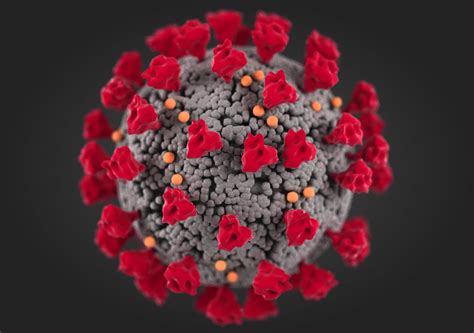 Corona Virus Covid 19 3d Model Cgtrader