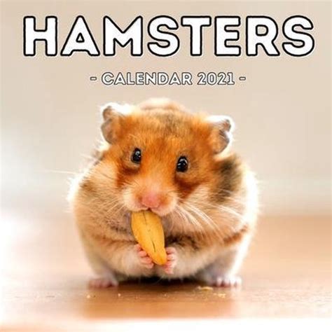 Hamsters Calendar 2021 Bad Potato Press 9798741981979 Boeken