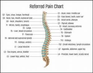 What Is Referred Oviedo Chiropractic