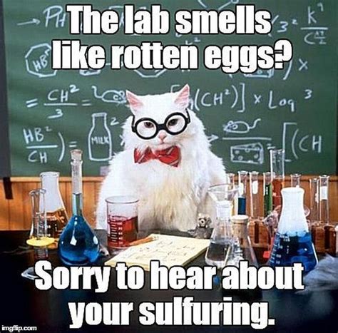 The Best Of The Chemistry Cat Meme Chemistry Jokes Chemistry Cat Chemistry Puns