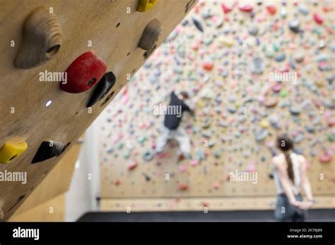Climbers Climbing Session Wall In Climbing Gym Stock Photo Alamy
