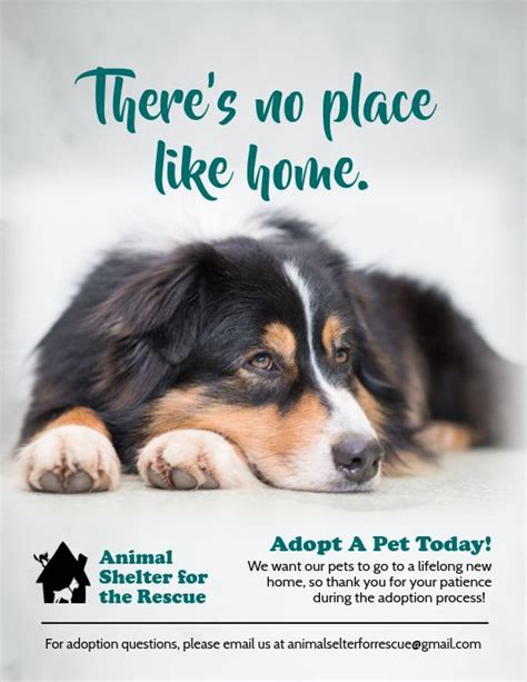 Pet Adoption Awareness Poster Template Pet Adoption Event Pet