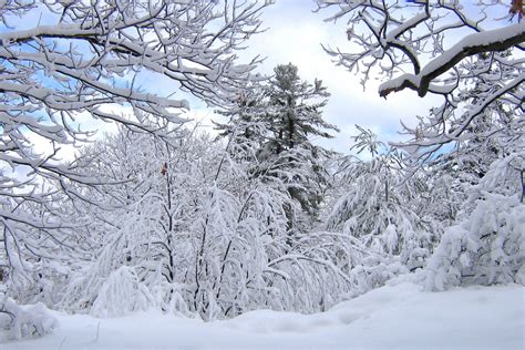 Beautiful Snow Beautiful Sights Pinterest