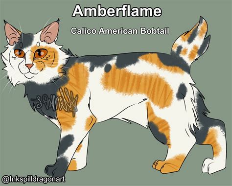 Amberflame American Bobtail Warrior Cats Calico