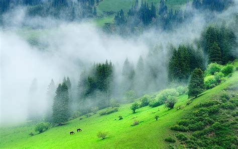 Landscape Nature Lake House Grass Forest Mountain Clouds Sun Rays Mist