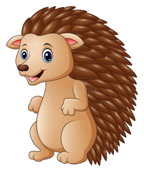 Cute Hedgehog Cartoon Stock Vector Illustration Of Porcupine 107482713