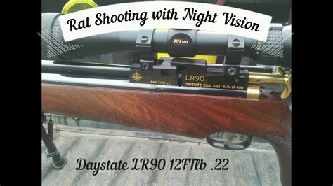 Rat Shooting With Air Rifle And Night Vision Youtube