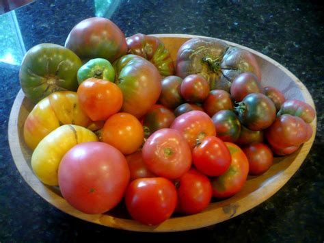 The 19 most delicious heirloom tomatoes in the world. The Enchanted Tree: Ananas Noire (Black Pineapple ...