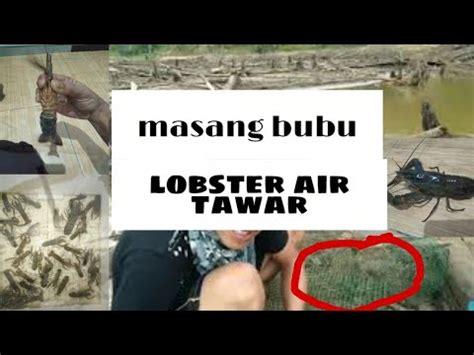 Spot mancing di danau saguling, kebetulan airnya sedang surut jadi jalan agak lumayan ke pedalaman danau, tapi l. Danau Saguling Surut : Proses Terjadinya Pasang Naik dan Surut Air laut , Kenapa ... - Chloe Blog