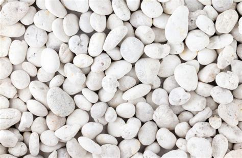 White Pebbles Stone Texture And Background Stock Photo Image Of
