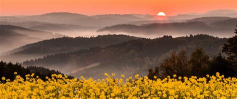 543264 Nature Landscape Sunset Flowers Hill Field Spring Wildflowers