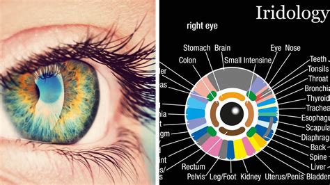 Heres What Your Iris Can Reveal About Your Health