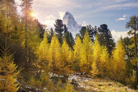 Matterhorn And Autumn Stock Image Image Of Saturated 162535847