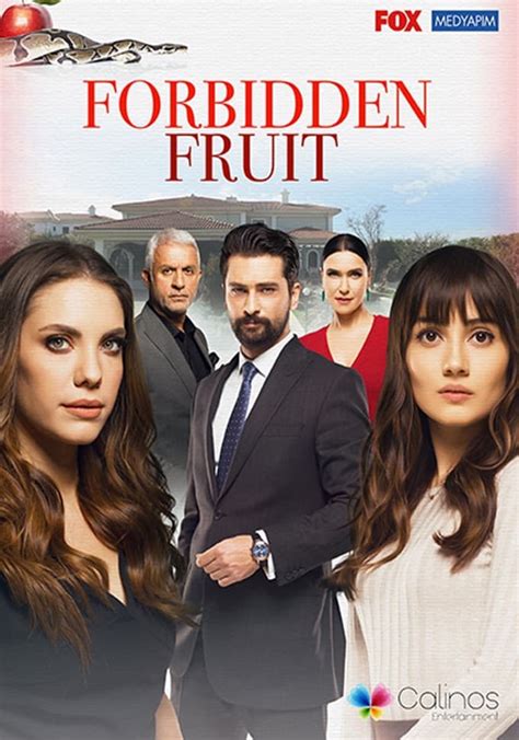 forbidden fruit streaming tv show online