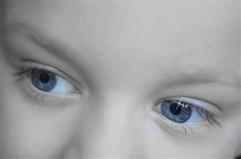 Childrens Dreamy Eyes Free Stock Photo Public Domain Pictures